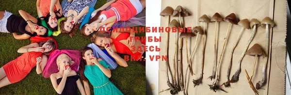 МДМА Лагань