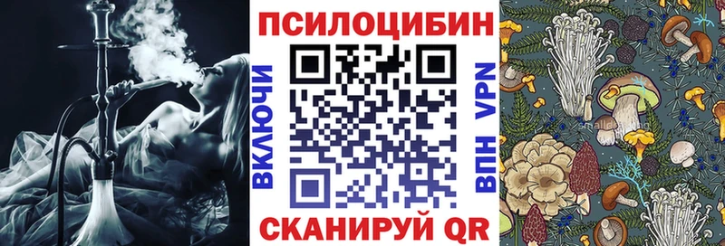 Купить  Артёмовский  Галлюциногенные грибы MAGIC MUSHROOMS 